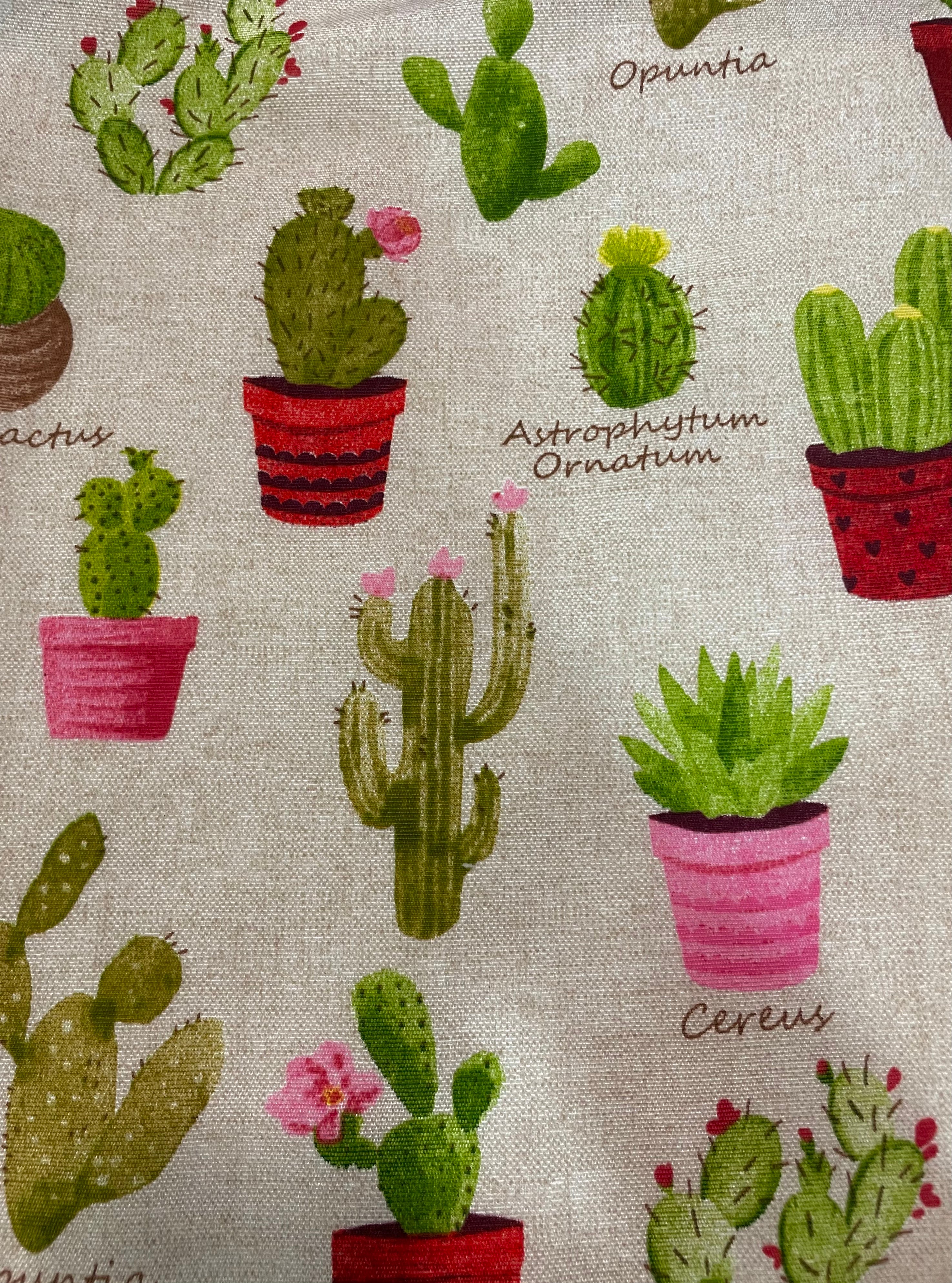 Tessuto Loneta Eriocactus